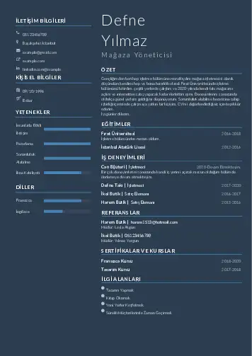 Yönetici CV Örnekleri cv indir